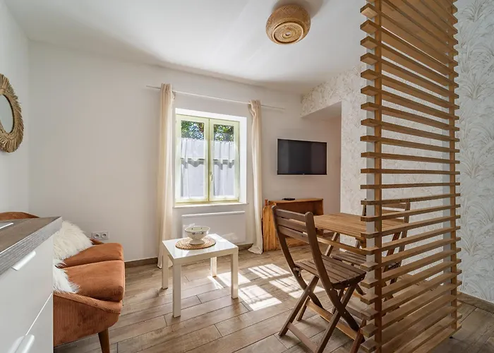 Les Marronniers Apartment Frontonas
